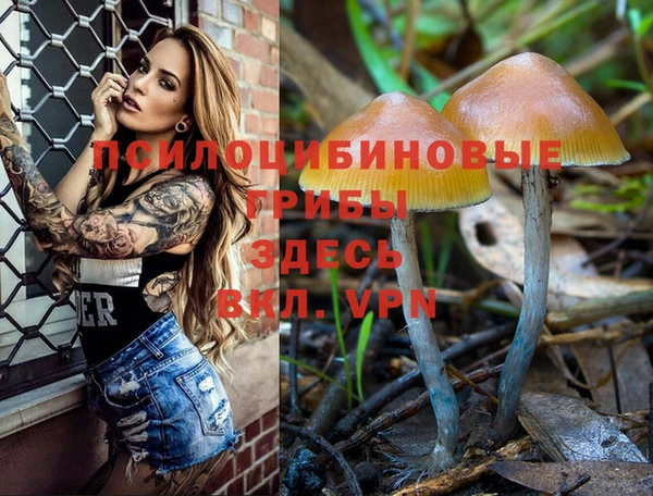 spice Абинск