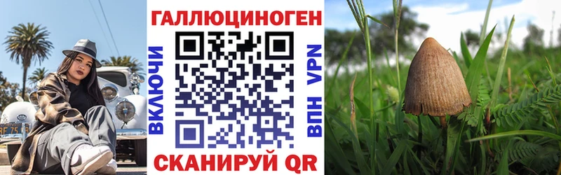 Псилоцибиновые грибы Magic Shrooms  Тверь 